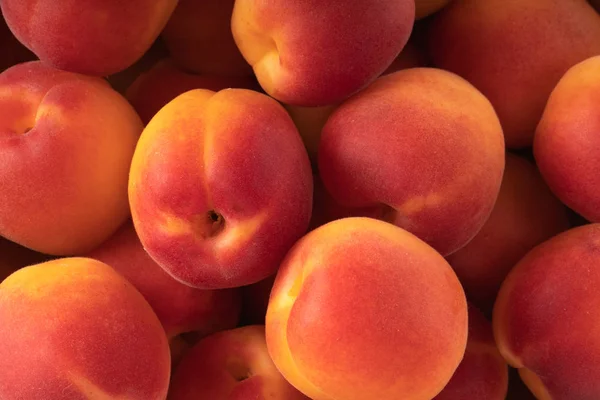 beyaz arka plan üzerinde izole olgun kayısı, yakın çekim   