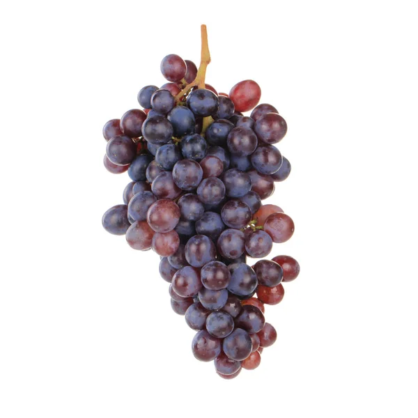 Ripe Grape Close — Stock Photo, Image