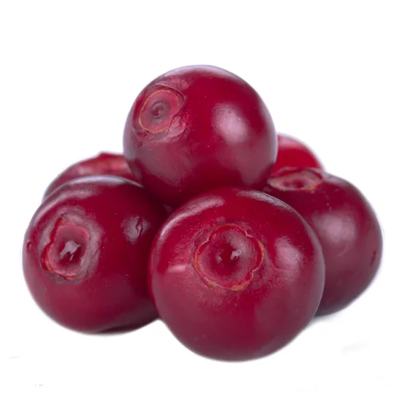Tumpukan Kecil Cranberry Terisolasi Pada Latar Belakang Putih — Stok Foto