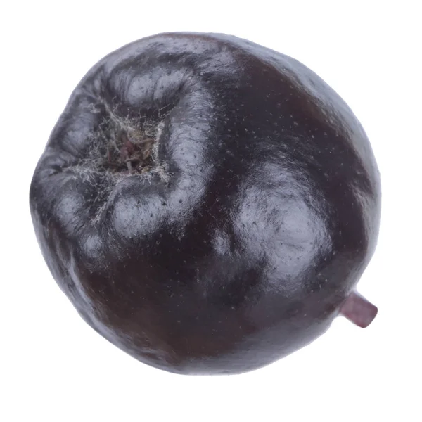 Coapte Ashberry Aproape — Fotografie, imagine de stoc