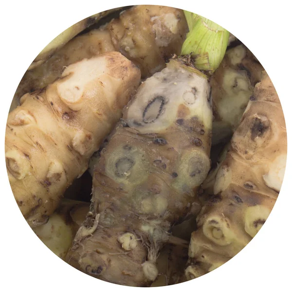 beyaz arka plan üzerinde izole wasabi kökleri, yakın çekim  