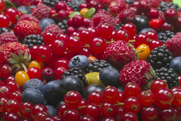 Delicious Berries Background Close — Stock Photo, Image