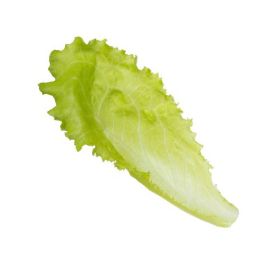 Beyaz arka plan üzerinde izole salata yaprağı