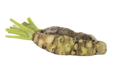 beyaz arka planda izole wasabi kökü, yakın çekim  