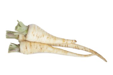 Beyaz arka plan üzerinde izole maydanoz kökleri