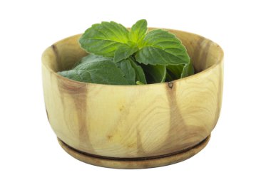 izole üzerinde beyaz arka plan nane yeşil yaprakları