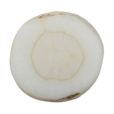 maydanoz kökü dilimi beyaz arka plan üzerinde izole