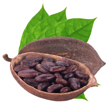 arka planda organik kakao, yakın