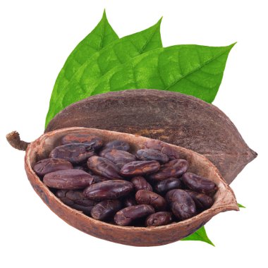 organic cocoa on background, close up clipart