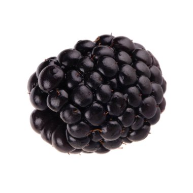 Beyaz arka plan üzerinde izole bir böğürtlen