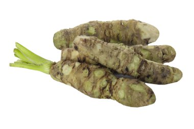 beyaz arka plan üzerinde izole wasabi kökleri, yakın çekim  