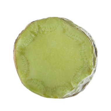 arka planda aromatik bitki, yakın