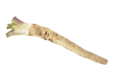 beyaz arka planda izole sebze kökü