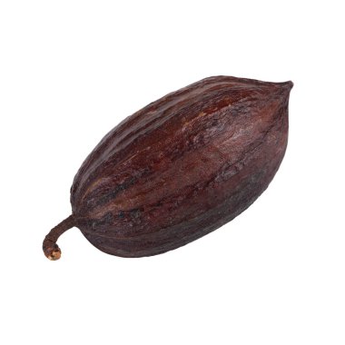 arka planda organik kakao, yakın