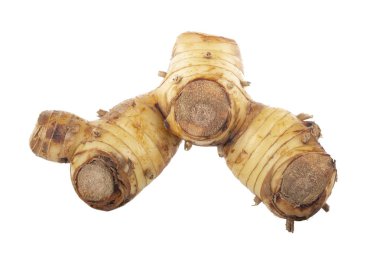 beyaz arka planda izole galanga kökü, yakın çekim 