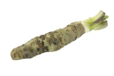 beyaz arka planda izole wasabi kökü, yakın çekim  