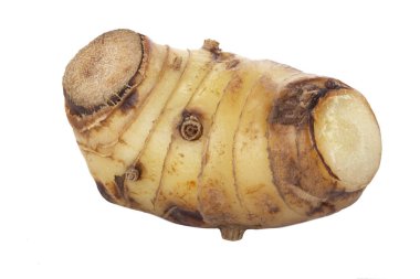 beyaz arka planda izole galanga kökü, yakın çekim 