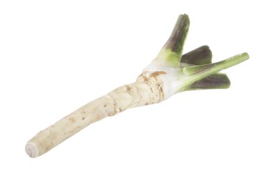 beyaz arka planda izole sebze kökü