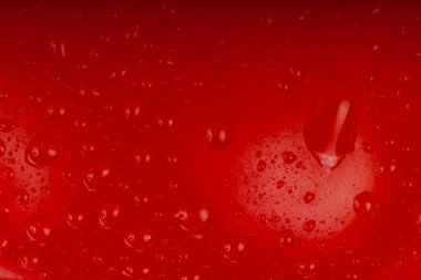 su damlaları ile taze kırmızı domates