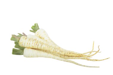 Beyaz arka plan üzerinde izole maydanoz kökleri