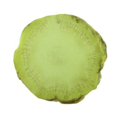 arka planda aromatik bitki, yakın