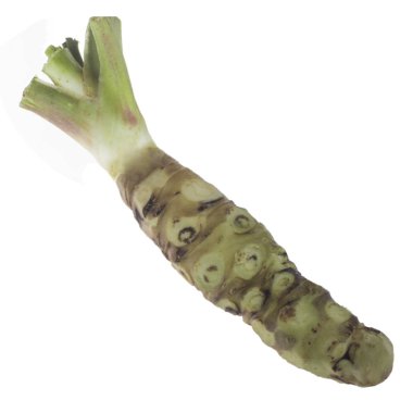 beyaz arka planda izole wasabi kökü, yakın çekim  