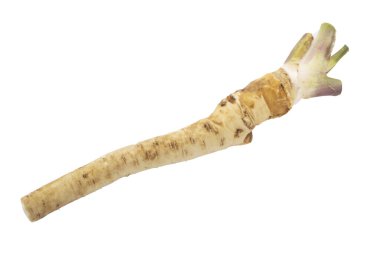 beyaz arka planda izole sebze kökü