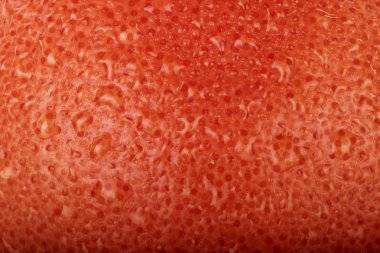 turuncu olgun greyfurt arka plan, yakın görünüm