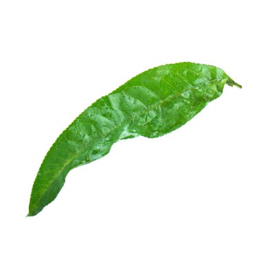 Olgun şeftali meyve yakın çekim