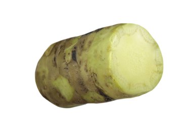 beyaz arka planda izole wasabi kökü, yakın çekim  