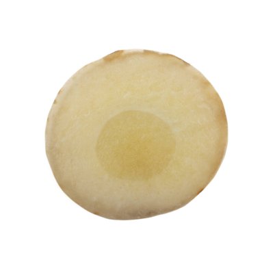 beyaz arka planda izole galanga kökü, yakın çekim  