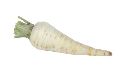 Beyaz arkaplanda izole edilmiş maydanoz kökü