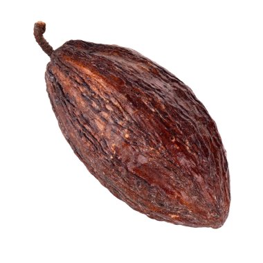 arka planda organik kakao, yakın