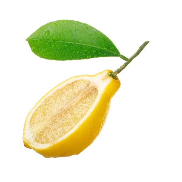 Rijpe Citrus Achtergrond Close — Stockfoto