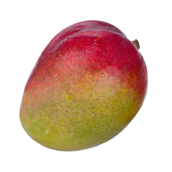 olgun mango meyve yakın 