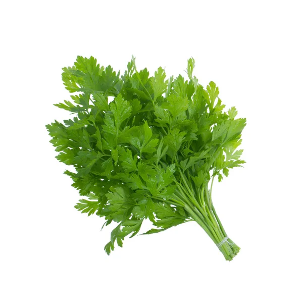 Taze yeşil maydanoz beyaz arkaplanda izole