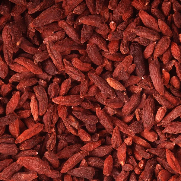 arka planda aromatik bitki, yakın