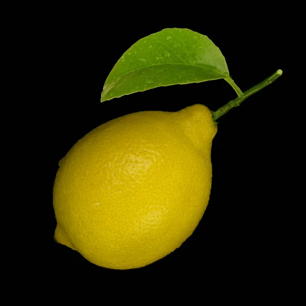 Rijpe Citrus Achtergrond Close — Stockfoto