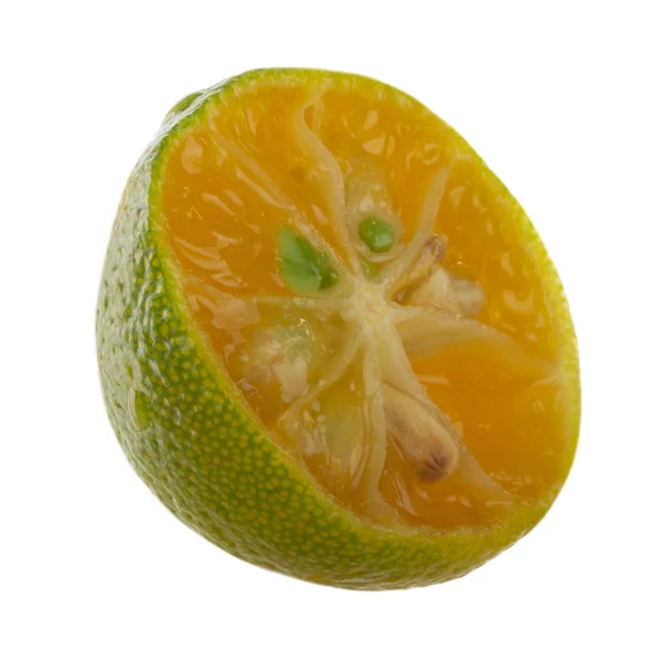 Ripe Citrus Background Close — Stock Photo, Image