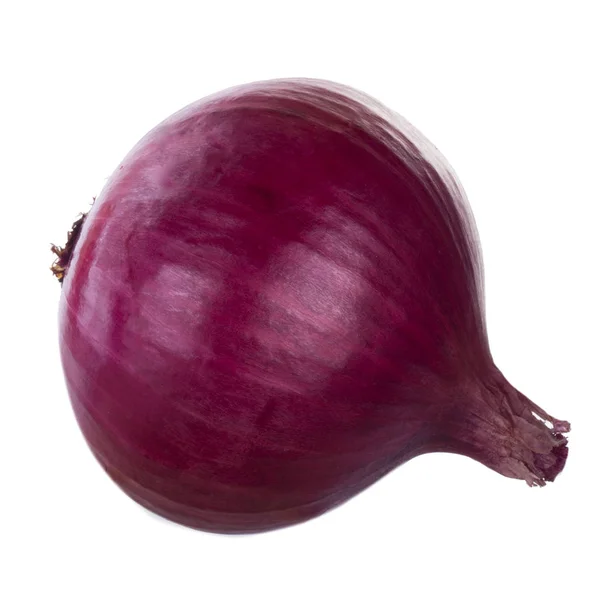 Ripe Onion Close — Stock Photo, Image