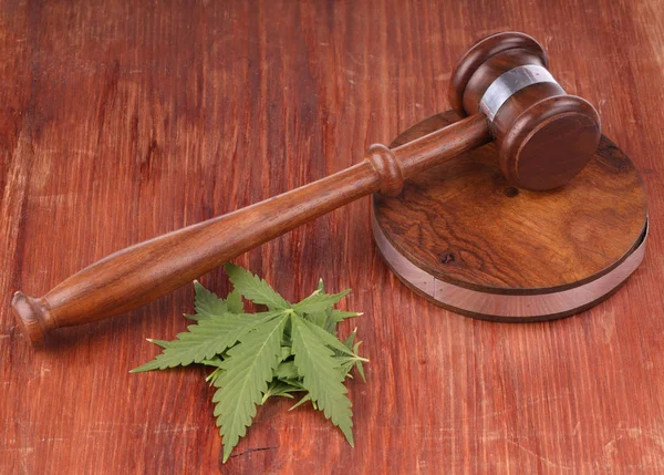 arka planda aromatik bitki, yakın