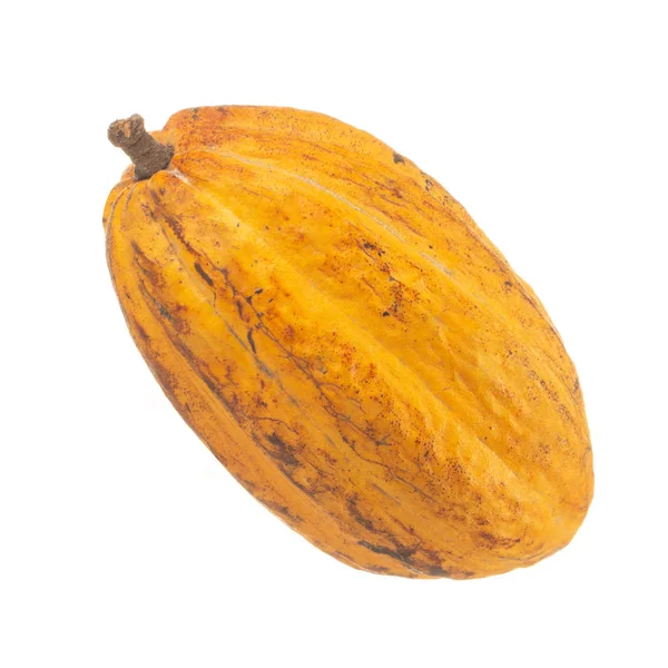 Délicieux Cacao Sur Fond Gros Plan — Photo