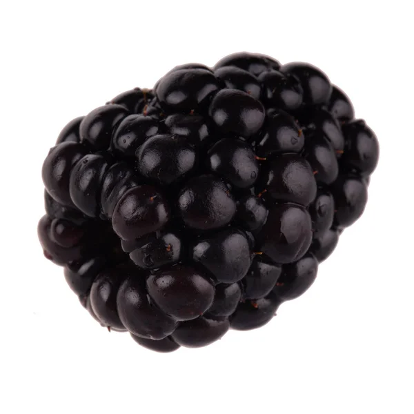 One Blackberry Isolated White Background — Stock Photo, Image