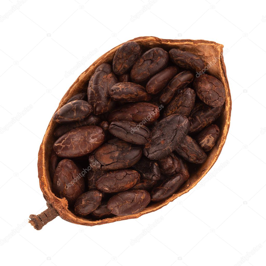organic cocoa on background, close up