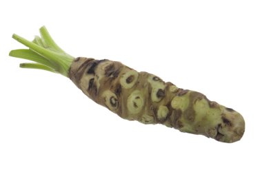 beyaz arka planda izole wasabi kökü, yakın çekim  