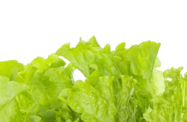 Beyaz arkaplanda salata yaprakları izole