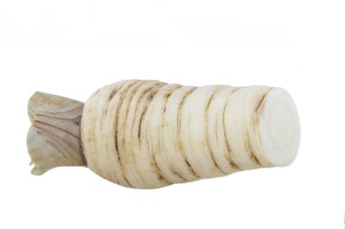 Beyaz arkaplanda izole edilmiş maydanoz kökü