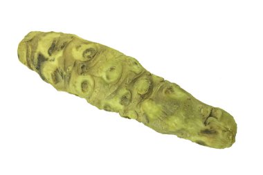 beyaz arka planda izole wasabi kökü, yakın çekim  