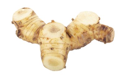 beyaz arka planda izole galanga kökü, yakın çekim  