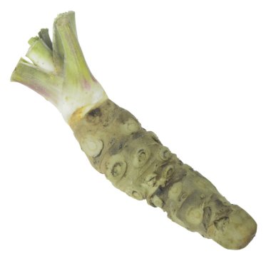 beyaz arka planda izole wasabi kökü, yakın çekim  